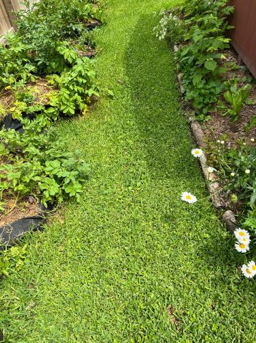 1F89351E-7FB3-4908-8BA3-CC232A484A89