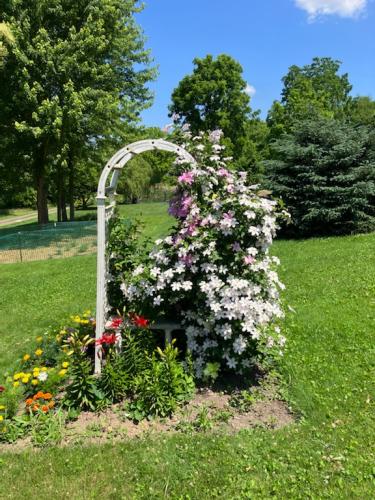 0404E0BC-5B50-4C72-82A4-FBBC2159DC6A