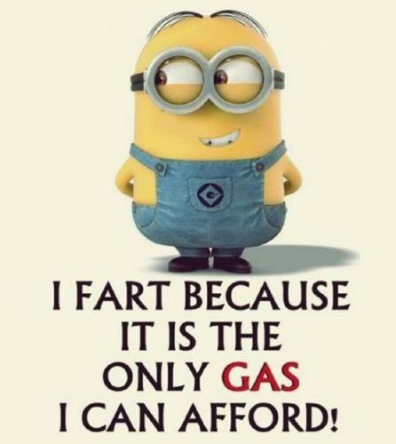 image_436F21B1-F51F-48B8-A1EF-24A0E9C4B2AD