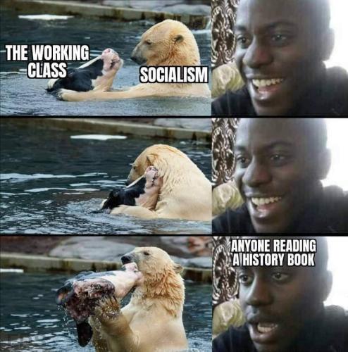 Socialism