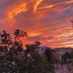 210902226_529143248282951_7454170174569373002_n