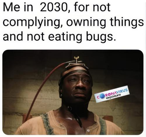 eatzebugs