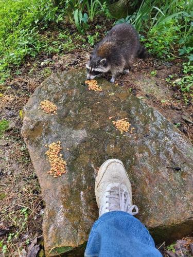 29e34614-5be8-48a8-9278-92521dadec56