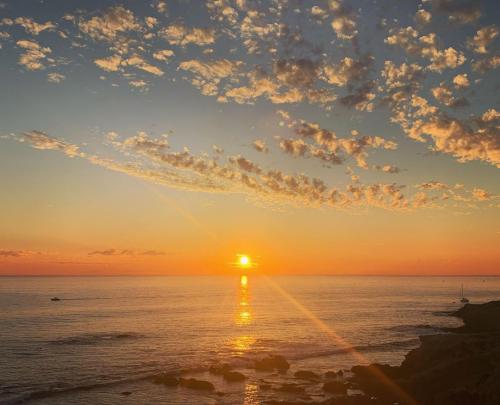 s__seokyung_74609543_109328607020038_3478172868732724663_n