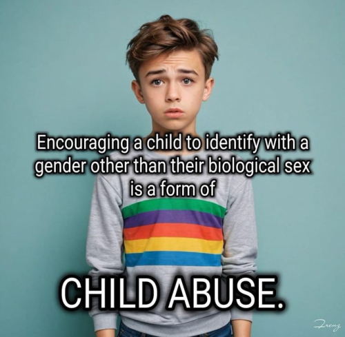 image_2024-06-22_085640273