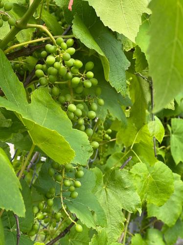 9946117F-B1D2-4675-9171-B19C6225DF2E