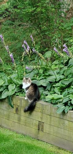 05:48:02 GMT-0400 (EDT)