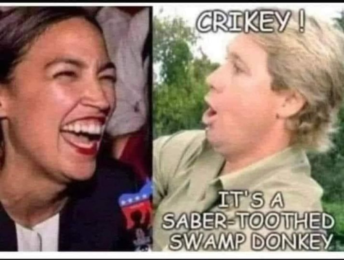 Swamp Donkey