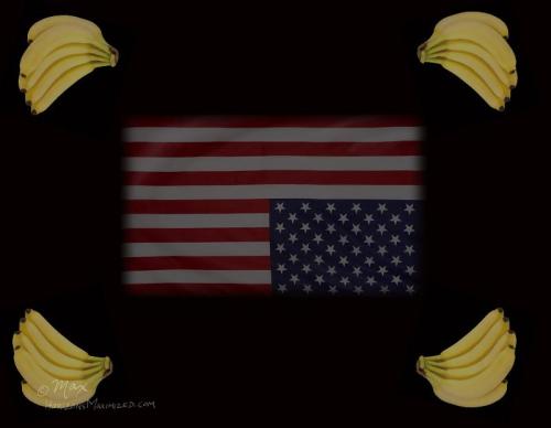 nbsioho1zkowk6ggxaan_800[1]