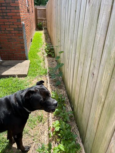 6D7D4326-D451-4305-9A83-36A5D48570CD