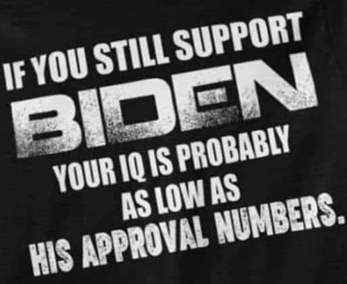 image_2024-06-06_061820103