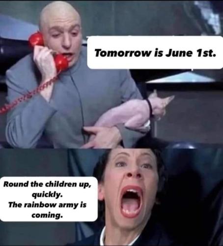 FB_IMG_1717192106233