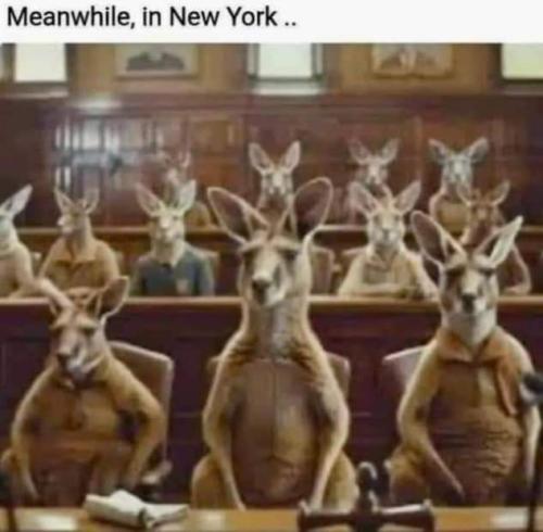 FB_IMG_1717165890438