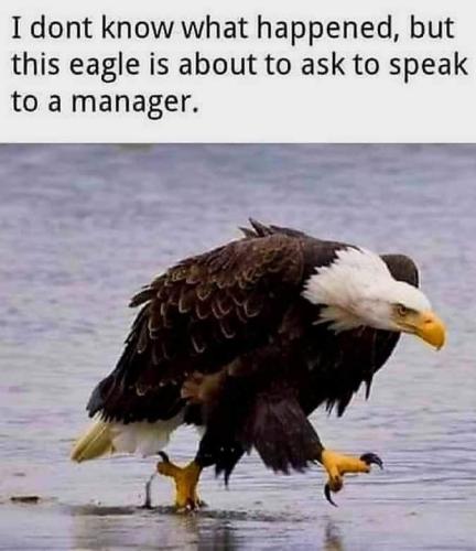 EA9DB6A4-7A4F-497A-8FC8-E3D0BB652A85