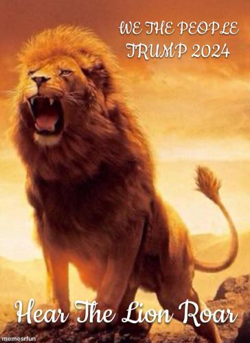 D9D92A87-A452-4BC9-8945-818390FBC9C9-50134-00003AD78322105E