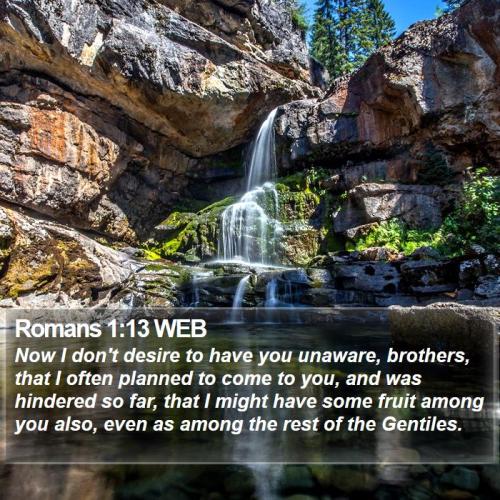 Romans 1_13