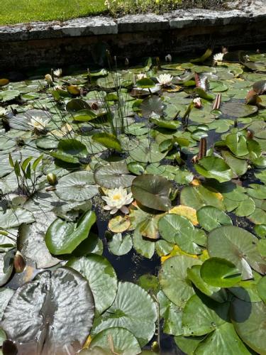 D49737A2-4EE1-42B1-9B68-AAE2077E1860