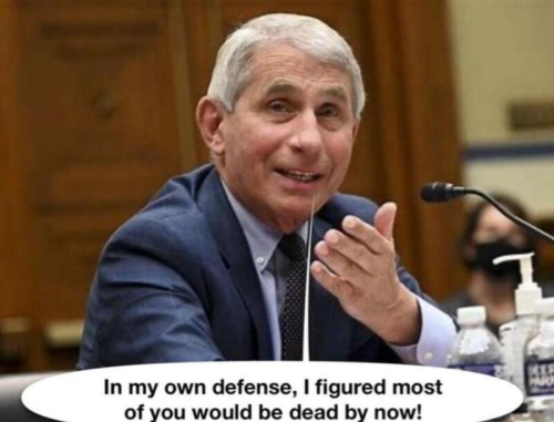 image_0241BD54-52D4-44B8-88C9-BCF8B0188EC3