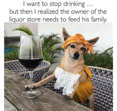 447697452_891853152958539_4682168167488555709_n