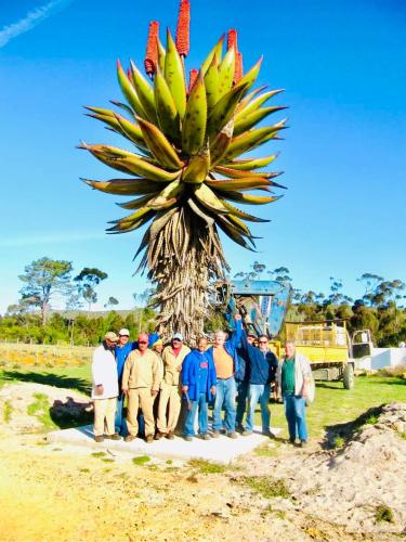 10:35:09 GMT-0500 (CDT)