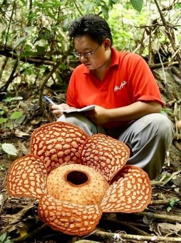 FB_IMG_1719761861612