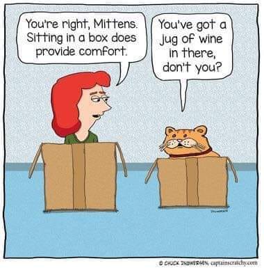 448498283_852093943606526_6868685000187675865_n