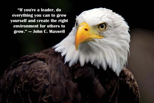 1-Leaders You Can Grow