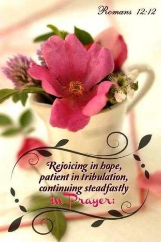 8ed721c0-c60f-45cc-94e3-0d8d80230da4