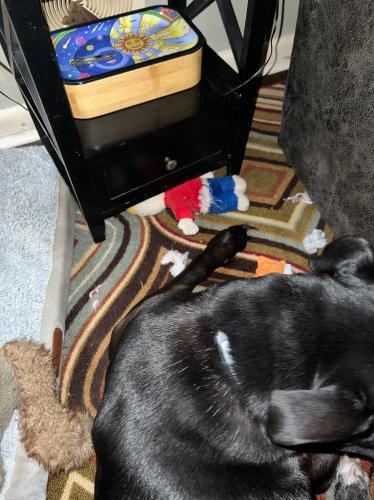 F03C6DF0-BD2F-49B2-AF60-A510773593F1