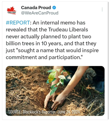 2 billion trees