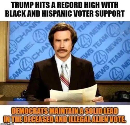 image_75A55619-1593-483B-81B0-9ED35695F19A