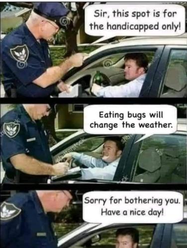 FB_IMG_1717681916834