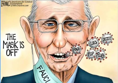 bc522a7b-b34d-4f8f-a83b-a0b9d04c6fd1_972x688