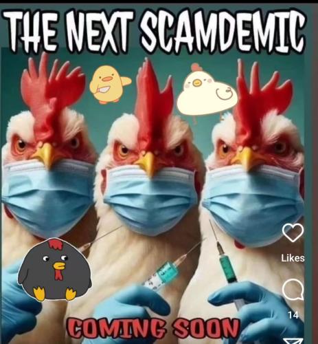 image_F5B55C90-1DBF-4361-84ED-CF9399DEA719