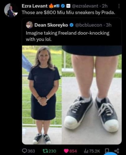 freelan shoes
