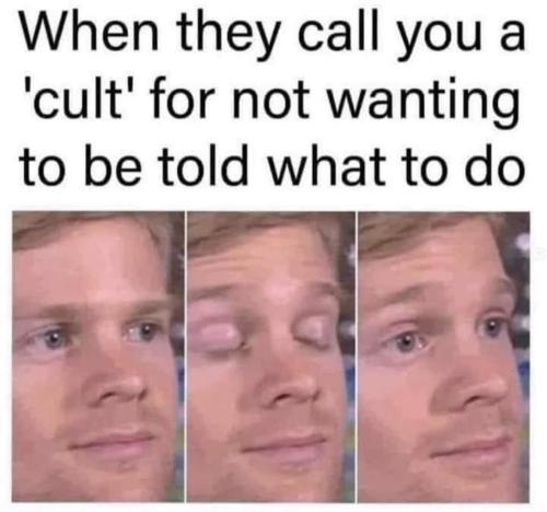 FB_IMG_1717542471546