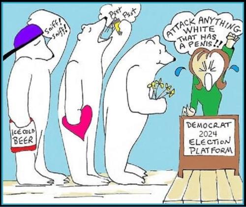 2024 DEM ELECTION PLATFORM