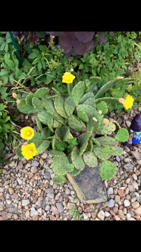 81E5DDE8-1E4F-4071-907A-E6C8DF67CDF3