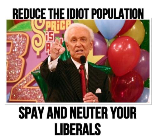 IMG_20240608_210520_318