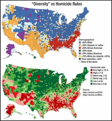 Diversity vs Homocide Rates