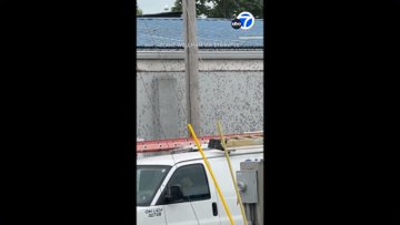 GP_vK9hbEAIPohV