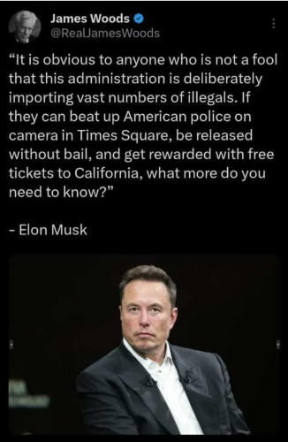 Woods and Musk on illegals