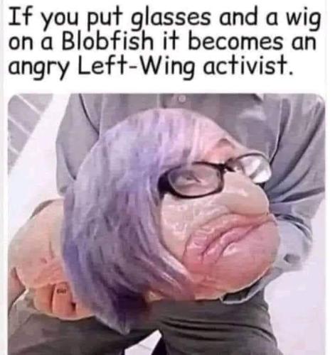 FB_IMG_1717372502586