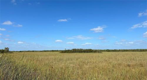 大沼泽地国家公园Everglades National Park_5_别问我是谁_来自小红书网页版