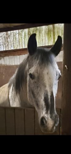 Screenshot_20240605_190859_Gallery