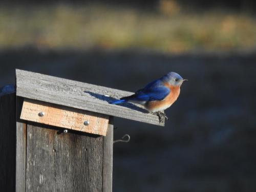 30195c38-52f4-422a-abaf-6cf160be445c