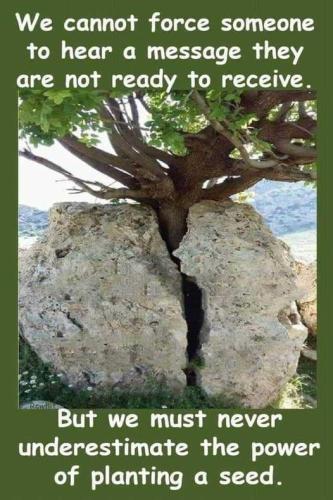 449384669_8396071990423038_4594575636700393334_n