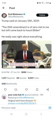 Screenshot_20240628_173445_X