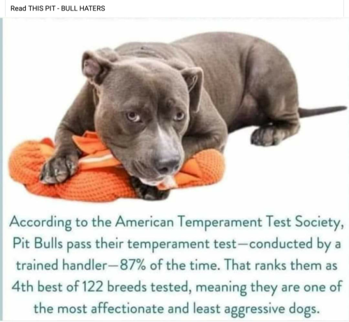 Screenshot_2024-05-28-00-26-11_kindlephoto-292011833