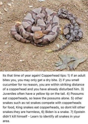 FB_IMG_1717266361617